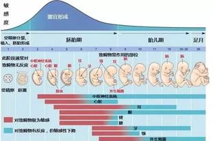 风化壳的发育阶段及其特征(风化壳的形成原因)