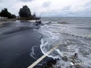 全球海平面上升,这些城市将处于洪水危险中