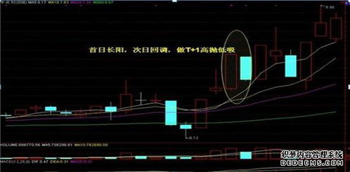在上海股市开户哪家证券公司较好，能免沪市和深市的开户费及手续费?