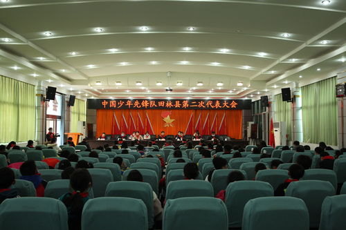 我县召开中国少年先锋队田林县第二次代表大会