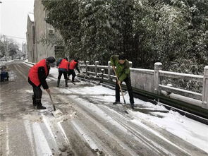 我市3.6万余名志愿者加入扫雪除冰行动 