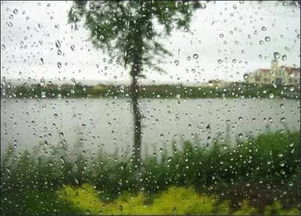 嚎啕雷雨，绵绵细雨，春雨，梅雨······，还有什么雨