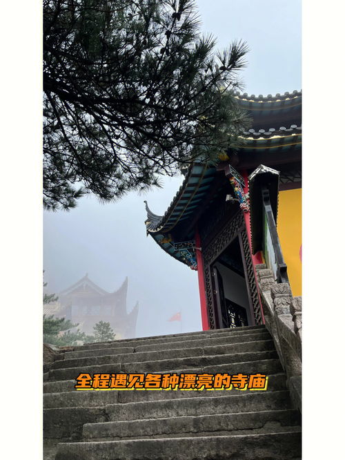 治愈系轻松徒步路线,这里是九华山风景区 