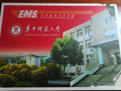 山东体育类211大学有哪些专业