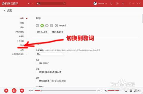 网易云音乐更改歌词设置