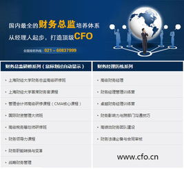 假设现在国内某大型企业总部需要招聘一位财务总监（CFO），请帮助该企业的人力资源管理部门拟定一份“招聘