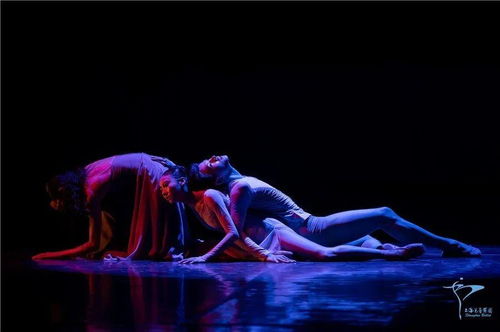 Show 芭蕾 上海芭蕾舞团原创现代芭蕾专场 起点Ⅲ 时间对岸 电子节目册