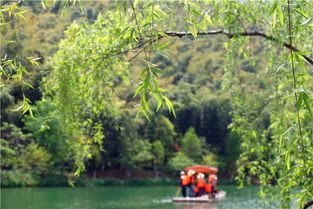 溧阳天目湖南山竹海旅游(溧阳竹海免费停车场有哪些)