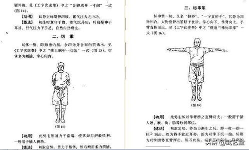 虎鹤门全功秘籍第二节 掌法 原貌版 