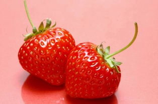 什么草莓品种最好,自己在家种草莓哪个品种好