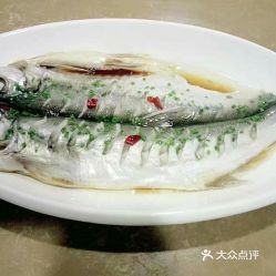 上海野生的鱼可以抓吗