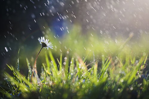 阳光暂别 雨水上场 傍晚起贵州全省气温将下降