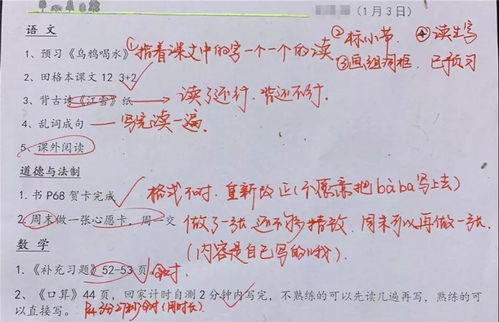 南京市青少年宫小青柠托管班招生啦