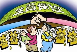 社会保险法的五大亮点,深圳生育医保怎么办理