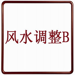 风水调整B 提高你的姻缘运 事业运 财运 子息运 学运 考运 买家评论 