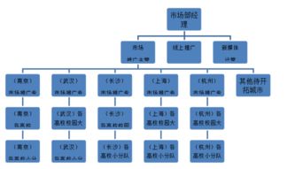 小院推广方案模板