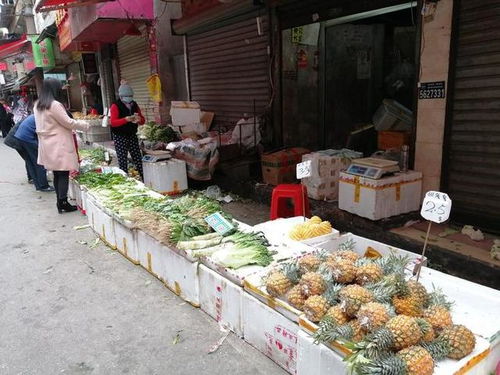 年初四,看看南宁菜市场和超市的菜价,你觉得贵吗