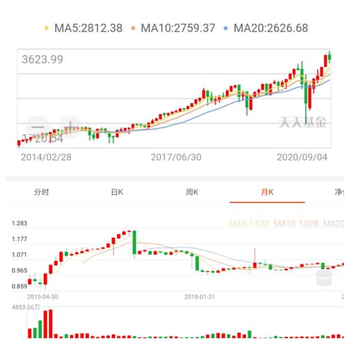 基金定投股票的好还是指数的好