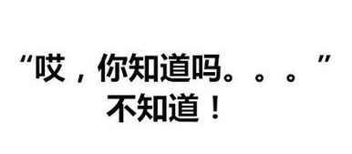 有时候拒绝别人,也是尊重别人,这些关于学会拒绝的话请拿好