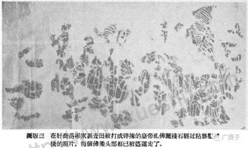 国岳集团岳彬 信息图文欣赏 信息村 K0w0m Com