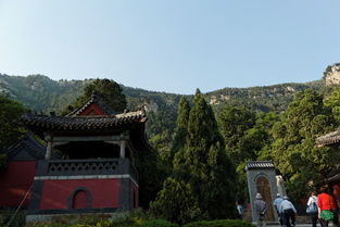 五峰山景区的主要景点(五峰免费停车场有哪些景点)