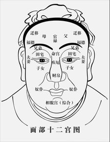 生活道教 何为承负 何为阴德 如何从面相上查看一个人的福德多寡