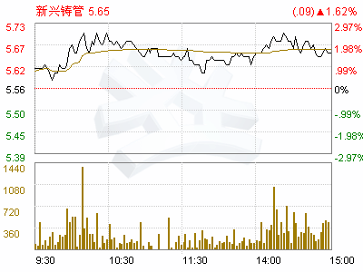 新兴铸管这只股票怎么样啊？