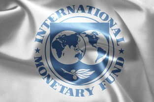 IMF(国际货币基金组织)简介？