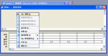 access简介(access是干什么用的)