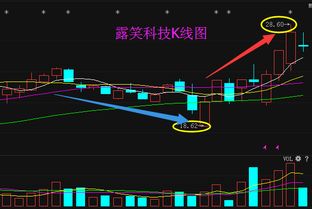 露笑科技走势如何