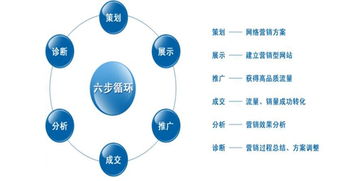 上海市公司如何做seo优化排名搜索营销推广?