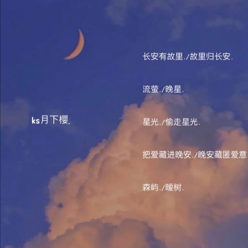 七夕专属情侣网名 星光随风而至 落日踏霞而归