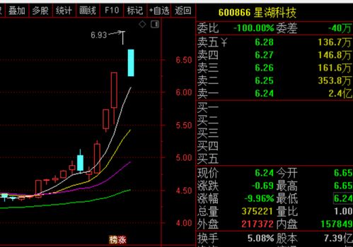 星湖科技跌停原因