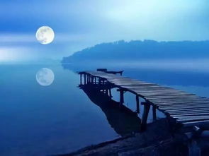 海上的夜是柔和的，是静寂的，是梦幻的。仿写：，中秋的月光是_______(海上的夜是柔和的是静寂的是梦幻的仿写比喻句)