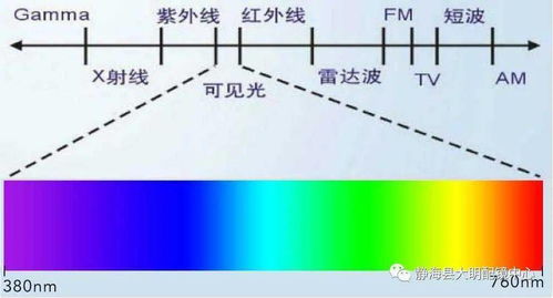 你绝对不知道的冷知识 3