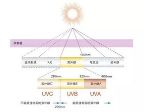 男人也要看 防晒霜防的到底是什么 