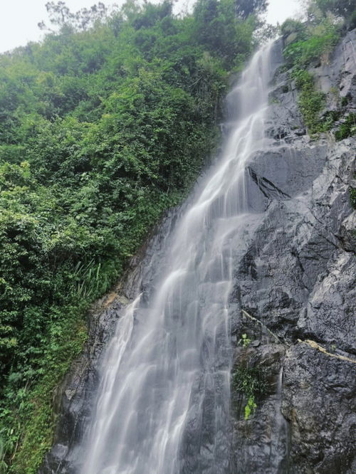 江门周边小众景点 天然氧吧大瀑布 