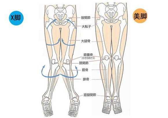 腿不直,和骨盆有很大的关系,80 的人都不知道应该这么练 