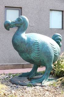 巨型喙鸭雕像高清图片下载 编号7016849 红动网 