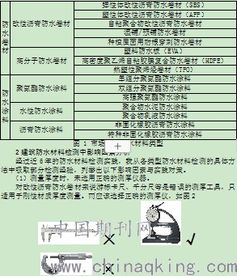 查重时间：论文查重速度的影响因素及应对策略