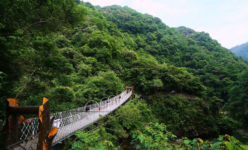 爱情丰顺风水