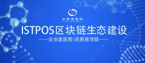 科技讲座 二十九 以基于商业3.0的ISTPOS公链系统