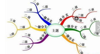 北京冬奥为什么叫绿色冬奥思维导图(历届冬奥会项目思维导图)