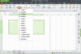 WPS表格里的边框线怎么看不到了 