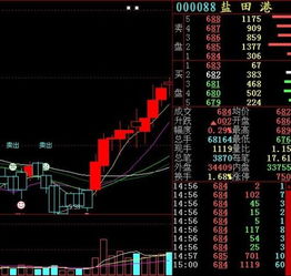 帮我分析下股票600620。