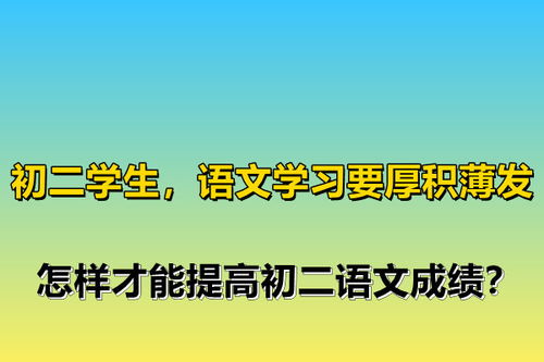 初二语文怎样提高成绩