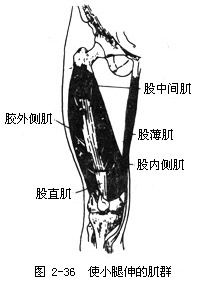 身体各部位的名称 图片信息欣赏 图客 Tukexw Com