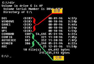 DOS币怎么样-dos pesos