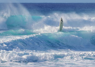 冲浪滑浪风帆海水大海海洋风景图片素材 模板下载 4.49MB 其他大全 生活工作 