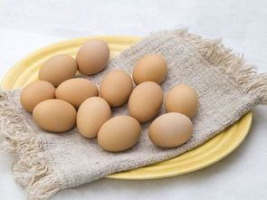 土鸡蛋跟普通鸡蛋比,哪个营养更高 答案可能跟你想的不一样